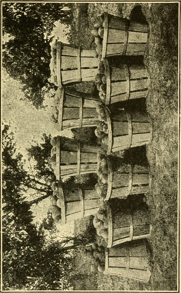 An illustration from The gasoline engine on the farm; a practical, comprehensive treatise on the construction, repair, management and use of this great farm power as applied to all farm machinery and farmer's work indoors and out .., 1913, leaf 399