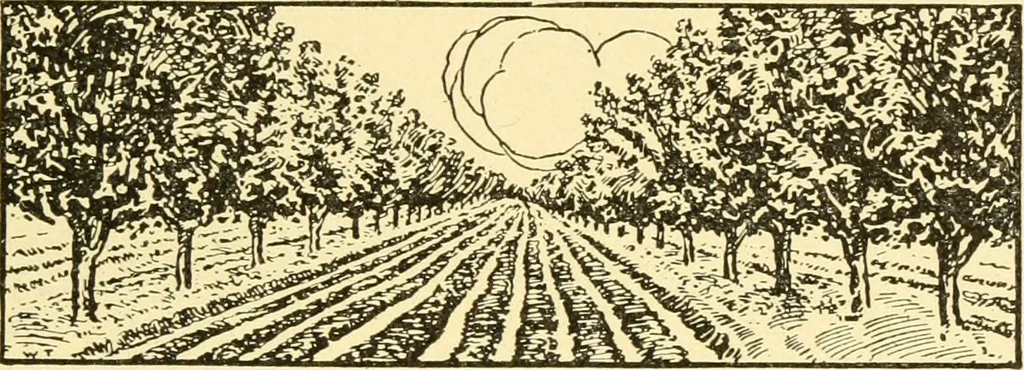 An illustration from The gasoline engine on the farm; a practical, comprehensive treatise on the construction, repair, management and use of this great farm power as applied to all farm machinery and farmer's work indoors and out .., 1913, leaf 411