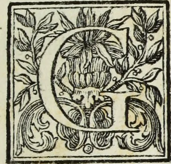 An illustration from Gasparis Aloysii Oderici ... Dissertationes et adnotationes in aliquot ineditas veterum inscriptiones et numismata accedunt inscriptiones et monumenta quae extant in bibliotheca monachorum camaldulensium S. Gregorii in Monte Coelio explicationibvs illvstrata, 1765, leaf 10
