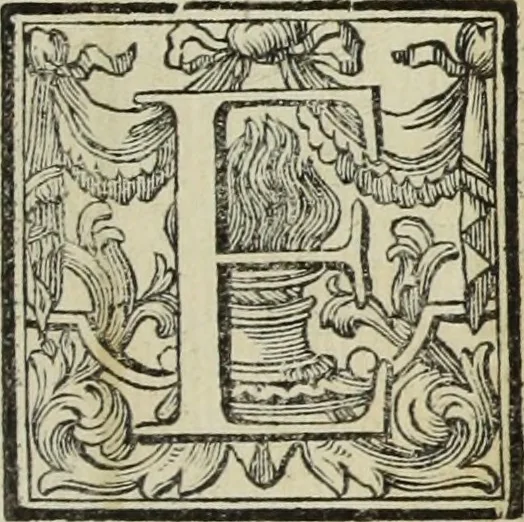 An illustration from Gasparis Aloysii Oderici ... Dissertationes et adnotationes in aliquot ineditas veterum inscriptiones et numismata accedunt inscriptiones et monumenta quae extant in bibliotheca monachorum camaldulensium S. Gregorii in Monte Coelio explicationibvs illvstrata, 1765, leaf 110