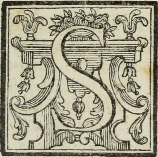 An illustration from Gasparis Aloysii Oderici ... Dissertationes et adnotationes in aliquot ineditas veterum inscriptiones et numismata accedunt inscriptiones et monumenta quae extant in bibliotheca monachorum camaldulensium S. Gregorii in Monte Coelio explicationibvs illvstrata, 1765, leaf 158