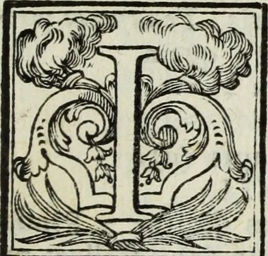 An illustration from Gasparis Aloysii Oderici ... Dissertationes et adnotationes in aliquot ineditas veterum inscriptiones et numismata accedunt inscriptiones et monumenta quae extant in bibliotheca monachorum camaldulensium S. Gregorii in Monte Coelio explicationibvs illvstrata, 1765, leaf 202