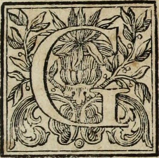 An illustration from Gasparis Aloysii Oderici ... Dissertationes et adnotationes in aliquot ineditas veterum inscriptiones et numismata accedunt inscriptiones et monumenta quae extant in bibliotheca monachorum camaldulensium S. Gregorii in Monte Coelio explicationibvs illvstrata, 1765, leaf 330