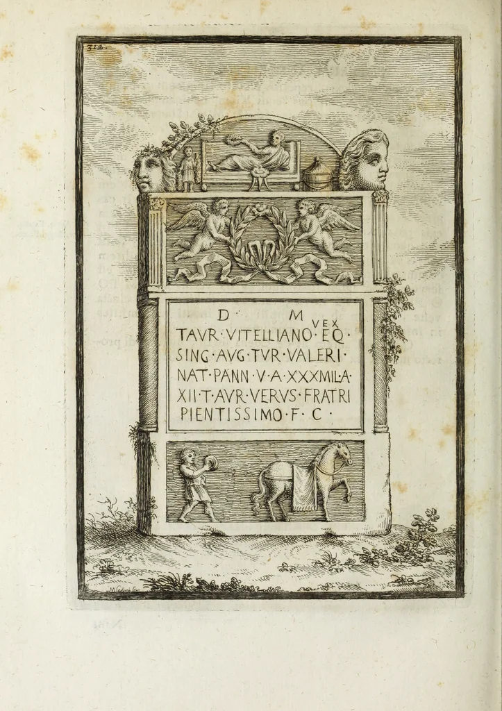 An illustration from Gasparis Aloysii Oderici ... Dissertationes et adnotationes in aliquot ineditas veterum inscriptiones et numismata accedunt inscriptiones et monumenta quae extant in bibliotheca monachorum camaldulensium S. Gregorii in Monte Coelio explicationibvs illvstrata, 1765, leaf 343