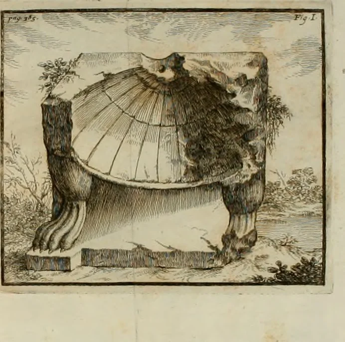 An illustration from Gasparis Aloysii Oderici ... Dissertationes et adnotationes in aliquot ineditas veterum inscriptiones et numismata accedunt inscriptiones et monumenta quae extant in bibliotheca monachorum camaldulensium S. Gregorii in Monte Coelio explicationibvs illvstrata, 1765, leaf 418