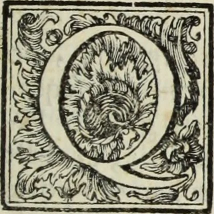 An illustration from Gasparis Aloysii Oderici ... Dissertationes et adnotationes in aliquot ineditas veterum inscriptiones et numismata accedunt inscriptiones et monumenta quae extant in bibliotheca monachorum camaldulensium S. Gregorii in Monte Coelio explicationibvs illvstrata, 1765, leaf 50