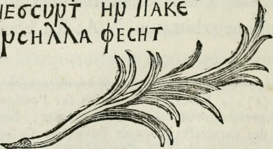 An illustration from Gasparis AloysI OdericI Societatis Iesu Academici Etrusci ad Caietanum Marinium De argenteo Orcitirigis numo coniecturae, 1767, leaf 45