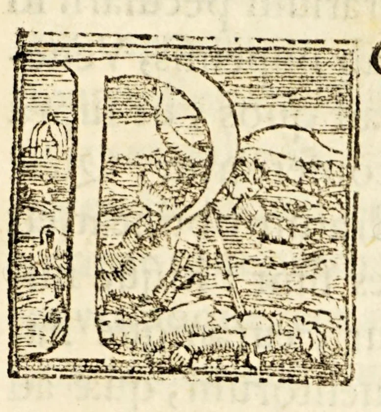 An illustration from Gasparis Contareni Cardinalis De magistratibus, & republica Venetorum, 1589, leaf 111