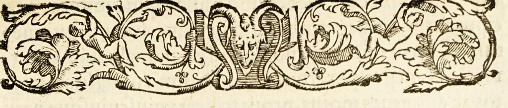 An illustration from Gasparis Contareni Cardinalis De magistratibus, & republica Venetorum, 1589, leaf 41