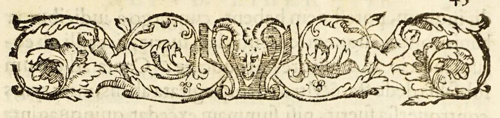 An illustration from Gasparis Contareni Cardinalis De magistratibus, & republica Venetorum, 1589, leaf 91