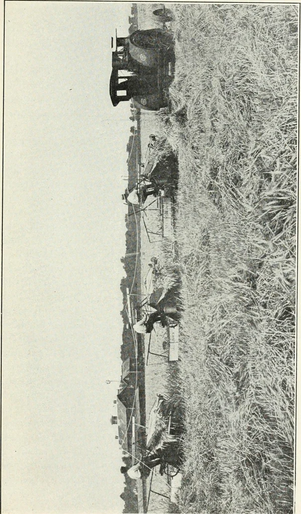 An illustration from The modern gas tractor, its construction, utility, operation and repair; a practical treatise defining every branch of up-to-date gas tractor engineering, driving and maintenance in a non-technical manner. Considers fully all types of power plants and their components, methods of drive and speed changing mechanisms. Describes design and construction of all parts, their installation and adjustment as well as practical application of tractors in the field, 1914, leaf 417