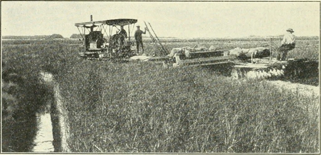 An illustration from The modern gas tractor, its construction, utility, operation and repair; a practical treatise defining every branch of up-to-date gas tractor engineering, driving and maintenance in a non-technical manner. Considers fully all types of power plants and their components, methods of drive and speed changing mechanisms. Describes design and construction of all parts, their installation and adjustment as well as practical application of tractors in the field, 1914, leaf 422