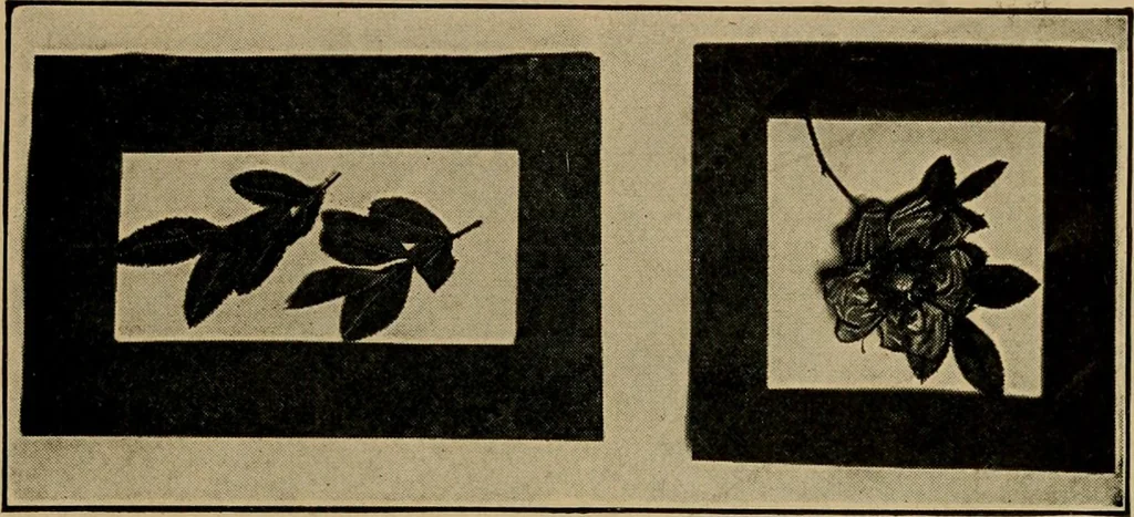 An illustration from Gateways to art and industry, 1913, leaf 159