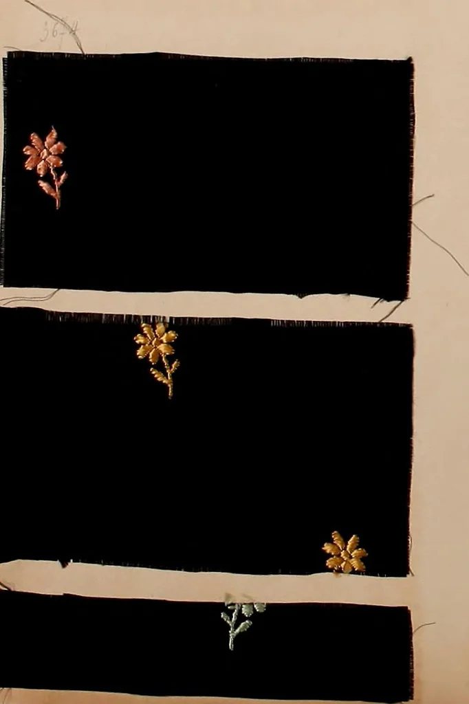 An illustration from [Gazes, 1890-1901; collection Roubaudi et Fils], 1901, leaf 12
