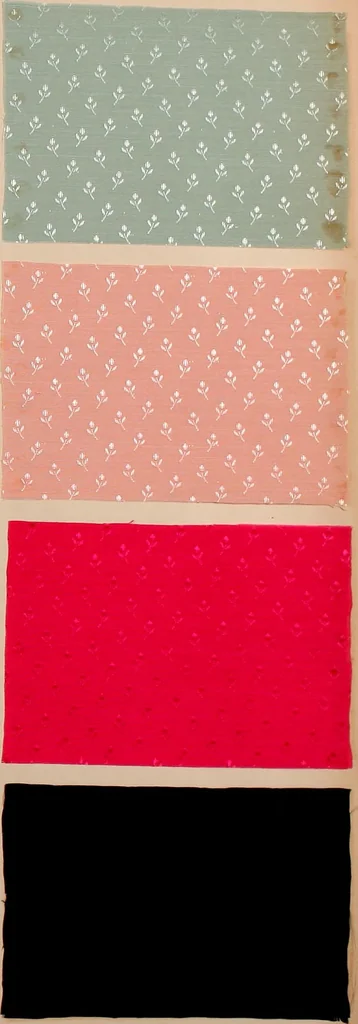 An illustration from [Gazes, 1890-1901; collection Roubaudi et Fils], 1901, leaf 23
