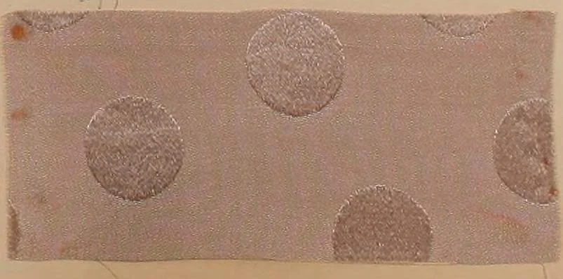 An illustration from [Gazes, 1890-1901; collection Roubaudi et Fils], 1901, leaf 3