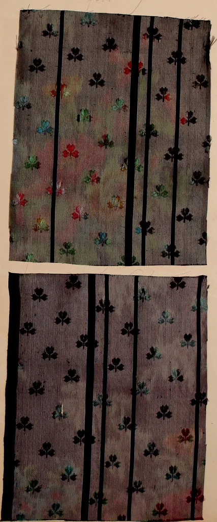 An illustration from [Gazes, 1890-1901; collection Roubaudi et Fils], 1901, leaf 35