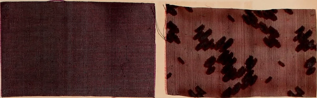 An illustration from [Gazes, 1890-1901; collection Roubaudi et Fils], 1901, leaf 37