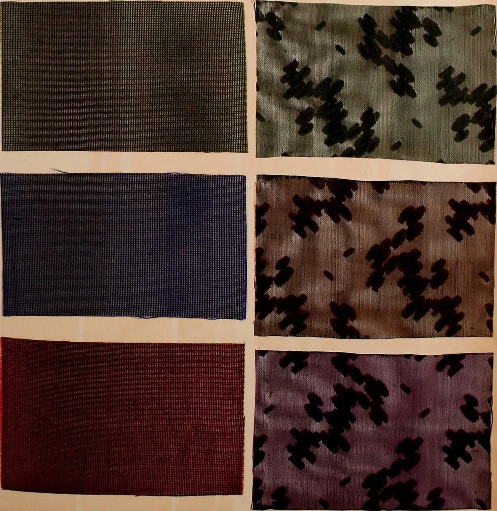 An illustration from [Gazes, 1890-1901; collection Roubaudi et Fils], 1901, leaf 37