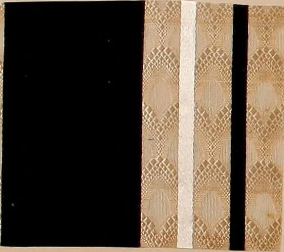 An illustration from [Gazes, 1890-1901; collection Roubaudi et Fils], 1901, leaf 44