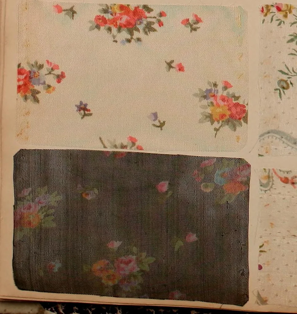 An illustration from [Gazes, 1890-1901; collection Roubaudi et Fils], 1901, leaf 56