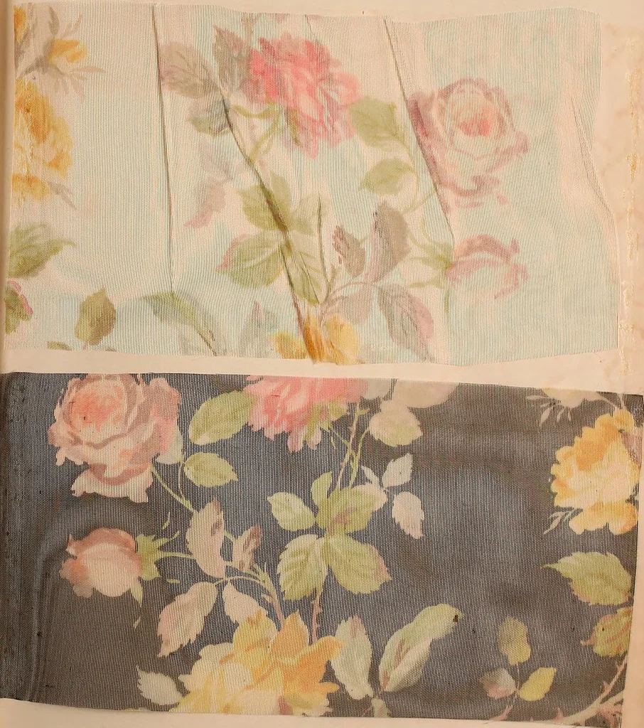 An illustration from [Gazes, 1890-1901; collection Roubaudi et Fils], 1901, leaf 57