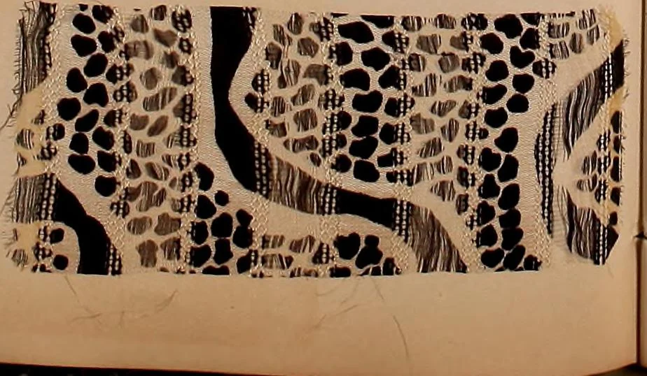 An illustration from [Gazes, 1890-1901; collection Roubaudi et Fils], 1901, leaf 64