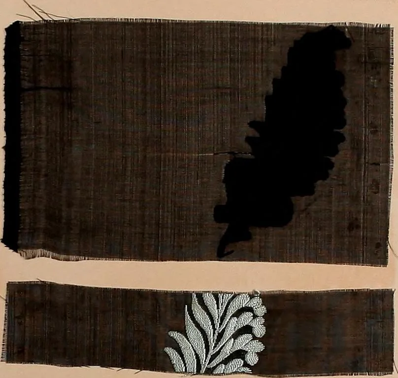 An illustration from [Gazes, 1890-1901; collection Roubaudi et Fils], 1901, leaf 7