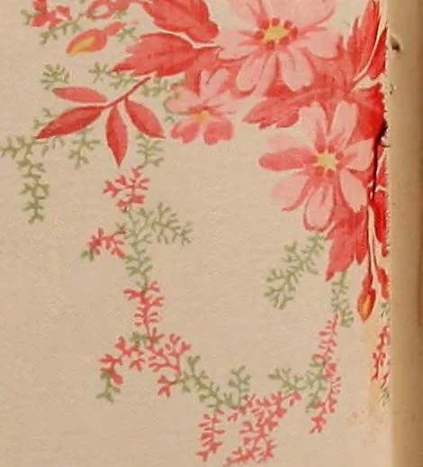 An illustration from [Gazes, 1890-1901; collection Roubaudi et Fils], 1901, leaf 76