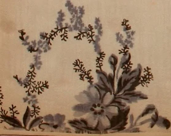 An illustration from [Gazes, 1890-1901; collection Roubaudi et Fils], 1901, leaf 76