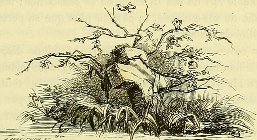 An illustration from Gazette des beaux-arts, 1859, leaf 154