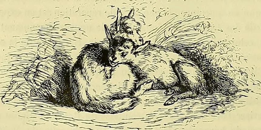 An illustration from Gazette des beaux-arts, 1859, leaf 59