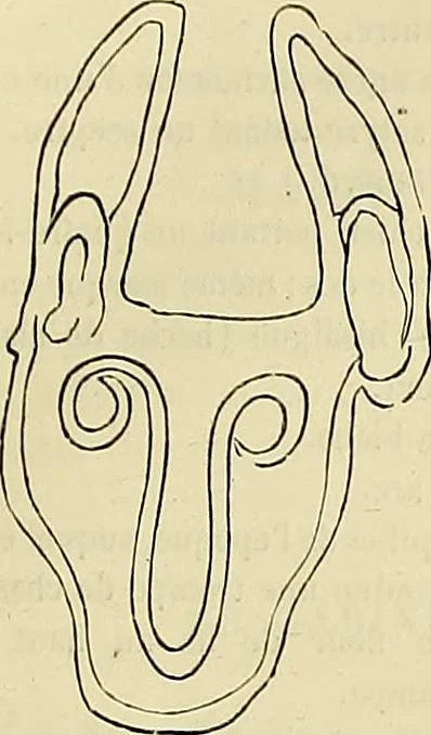 An illustration from Gazette des beaux-arts, 1859, leaf 249