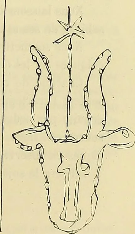An illustration from Gazette des beaux-arts, 1859, leaf 249