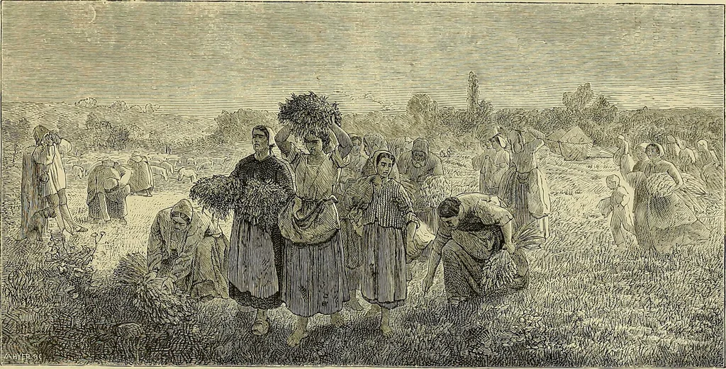An illustration from Gazette des beaux-arts, 1859, leaf 303