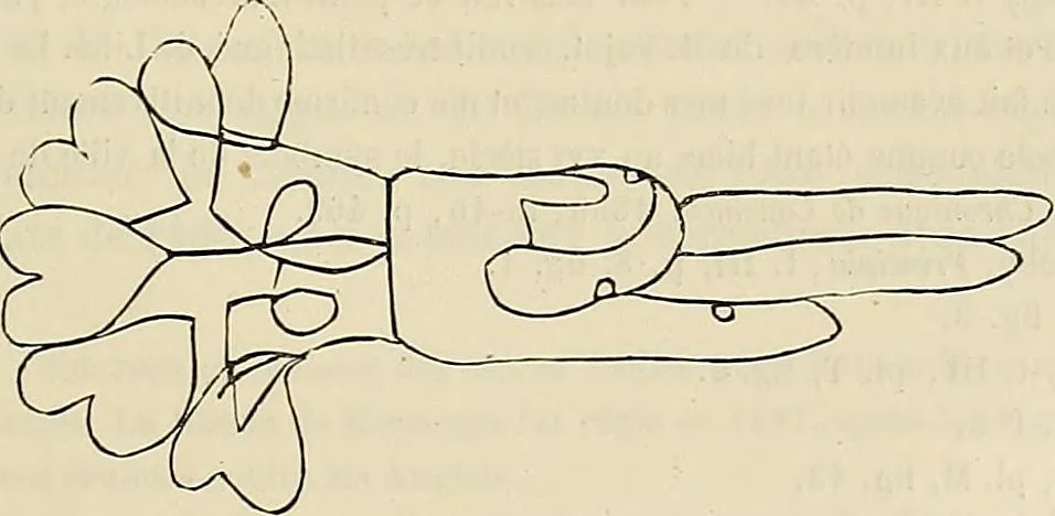 An illustration from Gazette des beaux-arts, 1859, leaf 173