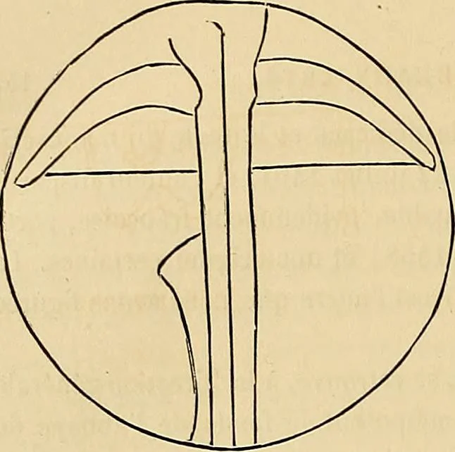 An illustration from Gazette des beaux-arts, 1859, leaf 164