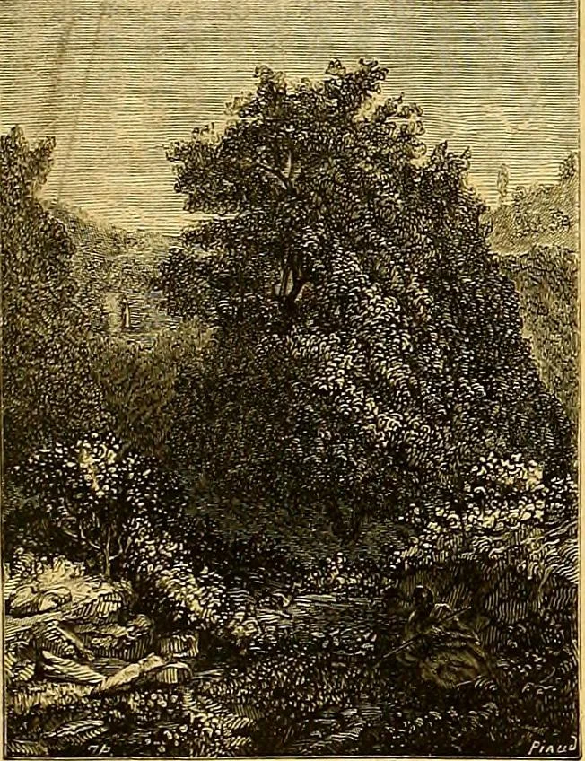An illustration from Gazette des beaux-arts, 1859, leaf 271