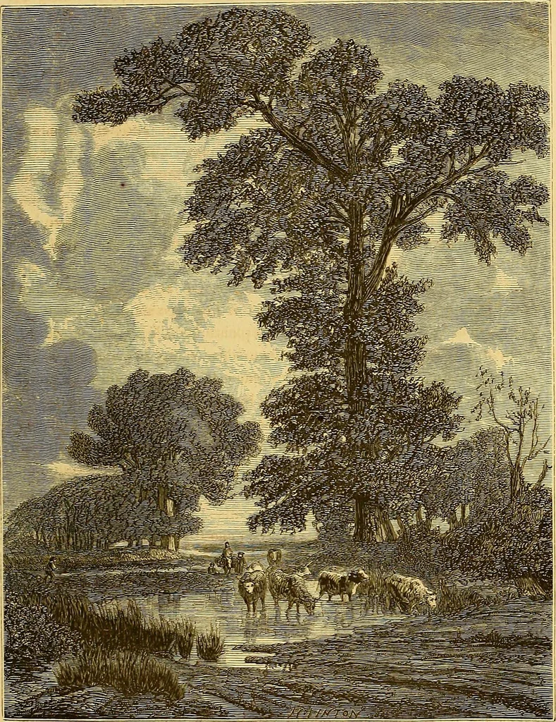 An illustration from Gazette des beaux-arts, 1859, leaf 303
