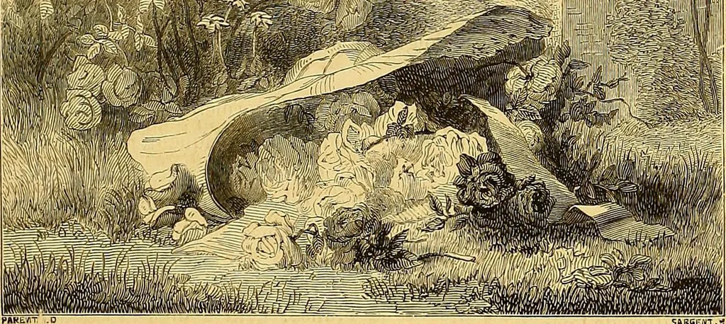 An illustration from Gazette des beaux-arts, 1859, leaf 357