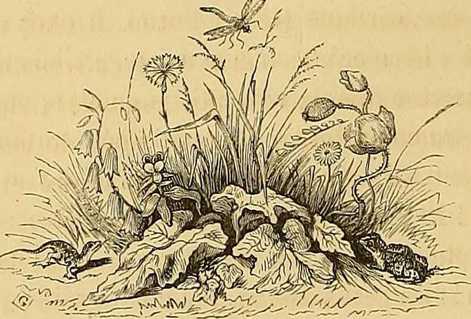An illustration from Gazette des beaux-arts, 1859, leaf 101