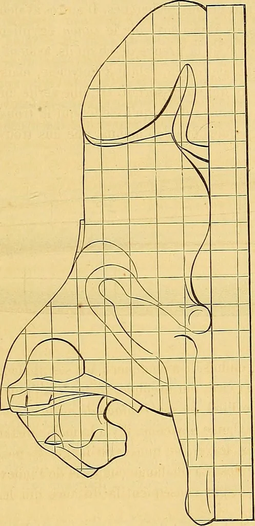 An illustration from Gazette des beaux-arts, 1859, leaf 216