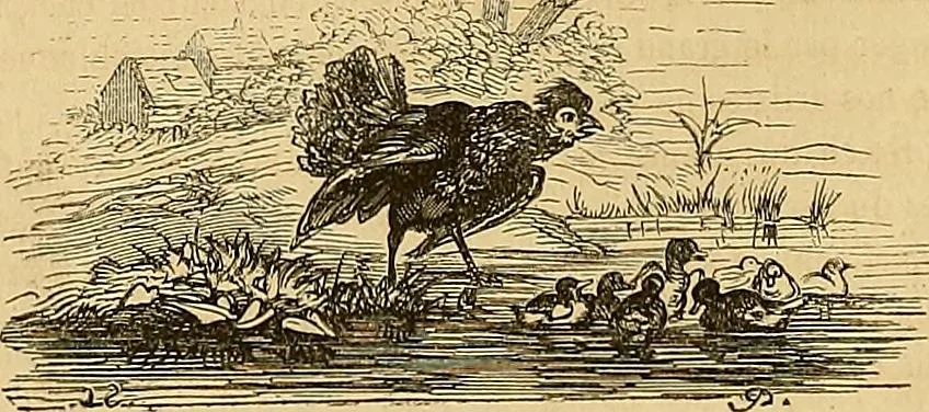 An illustration from Gazette des beaux-arts, 1859, leaf 327