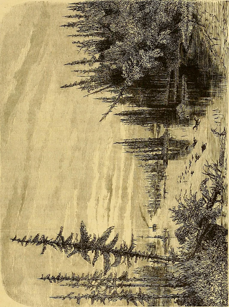 An illustration from Gazette des beaux-arts, 1859, leaf 354