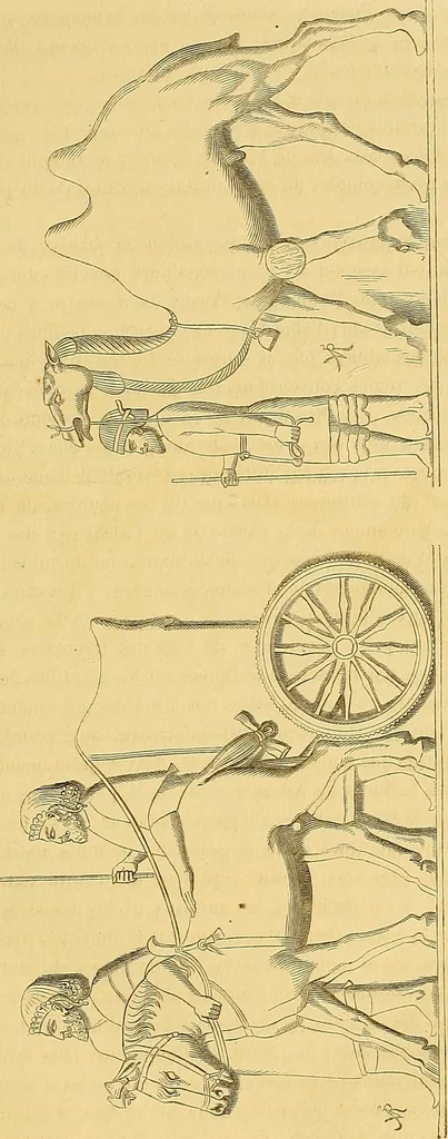 An illustration from Gazette des beaux-arts, 1859, leaf 80
