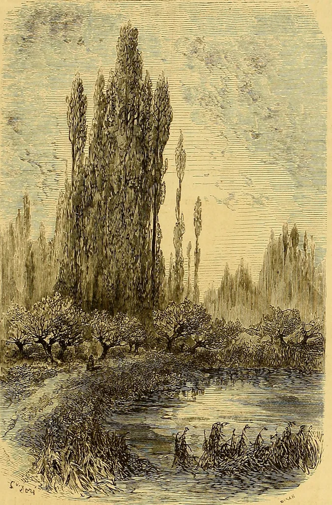 An illustration from Gazette des beaux-arts, 1859, leaf 130