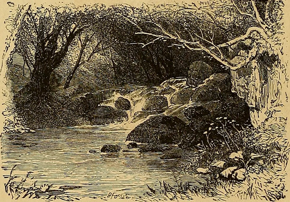 An illustration from Gazette des beaux-arts, 1859, leaf 131