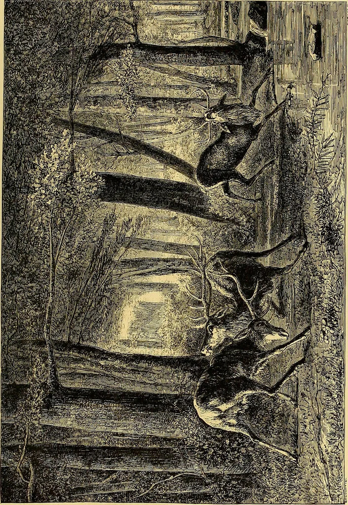 An illustration from Gazette des beaux-arts, 1859, leaf 157
