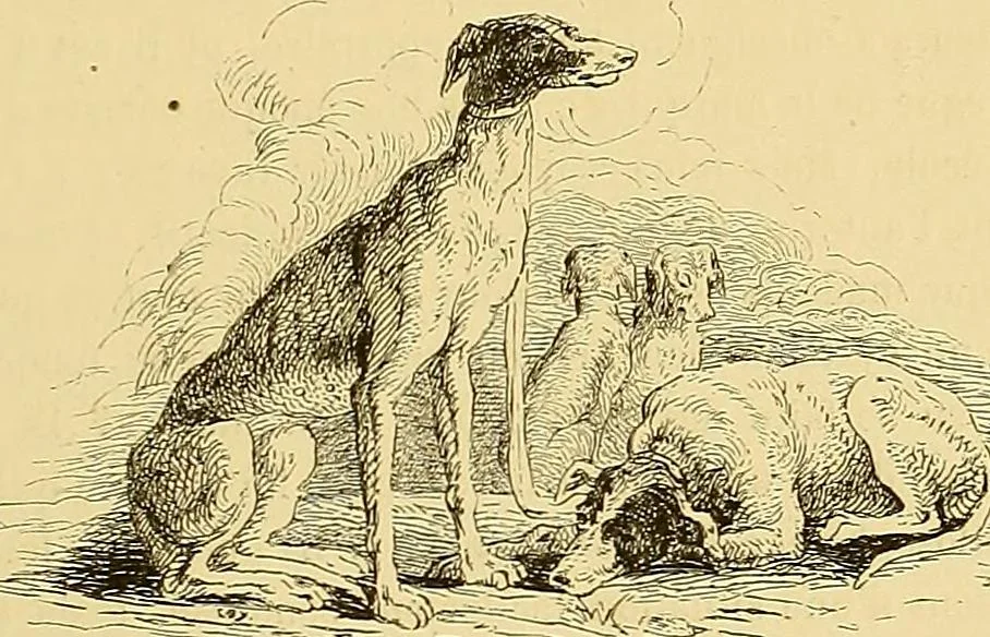 An illustration from Gazette des beaux-arts, 1859, leaf 261