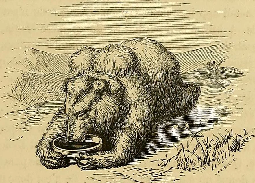 An illustration from Gazette des beaux-arts, 1859, leaf 177